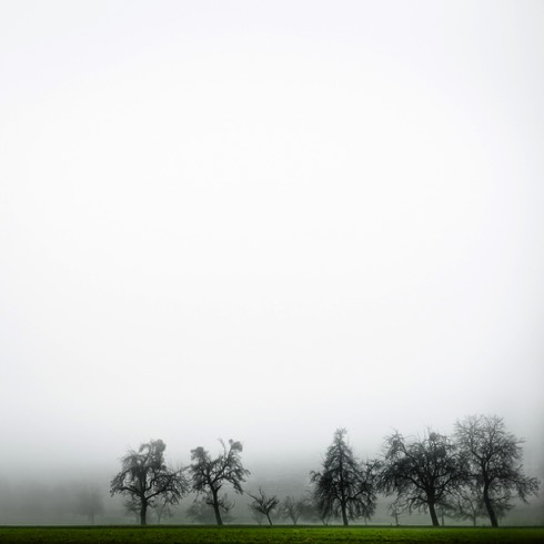 Harald Weimann Sieger - Landscapes & Seascapes Category - 13th Pollux Awards Foto Nostrum Gallery - Barcelona , holländische Malereien, Julio Hirsch-Hardy, Dutch Paintings, Signs in the Fog , Fineart Fotografie, Fotografie