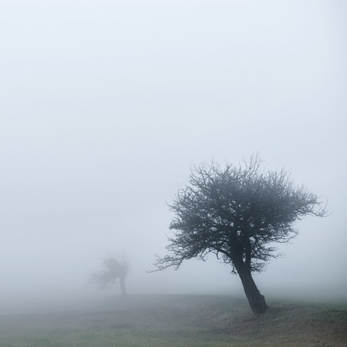 Harald Weimann Sieger - Landscapes & Seascapes Category - 13th Pollux Awards Foto Nostrum Gallery - Barcelona , holländische Malereien, Julio Hirsch-Hardy, Dutch Paintings, Signs in the Fog , Fineart Fotografie, Fotografie